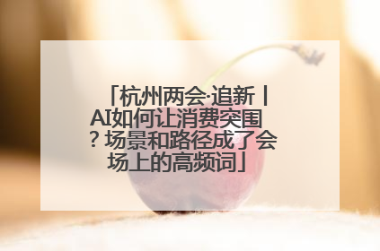 杭州两会·追新丨AI如何让消费突围？场景和路径成了会场上的高频词