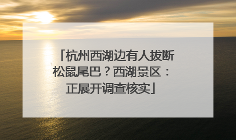 杭州西湖边有人拔断松鼠尾巴？西湖景区：正展开调查核实