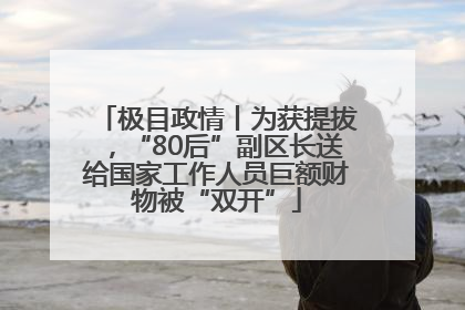 极目政情丨为获提拔，“80后”副区长送给国家工作人员巨额财物被“双开”