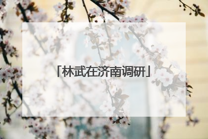 林武在济南调研