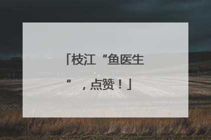 枝江“鱼医生”，点赞！