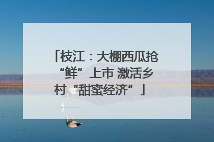 枝江：大棚西瓜抢“鲜”上市 激活乡村“甜蜜经济”