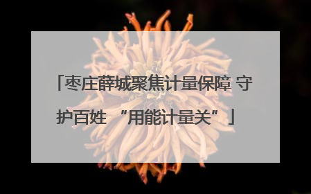 枣庄薛城聚焦计量保障 守护百姓 “用能计量关”