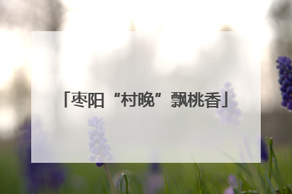枣阳“村晚”飘桃香