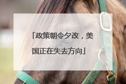 政策朝令夕改，美国正在失去方向
