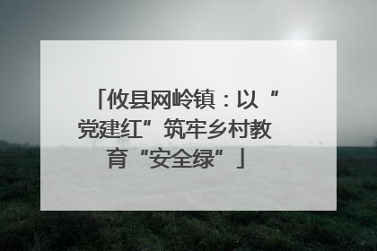 攸县网岭镇：以“党建红”筑牢乡村教育“安全绿”