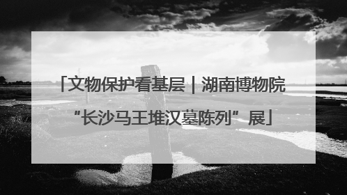 文物保护看基层｜湖南博物院“长沙马王堆汉墓陈列”展