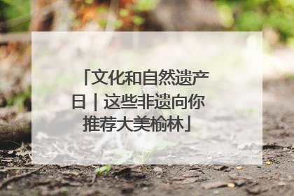 文化和自然遗产日｜这些非遗向你推荐大美榆林