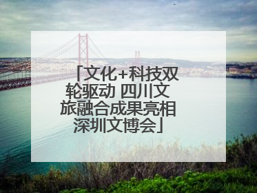 文化+科技双轮驱动 四川文旅融合成果亮相深圳文博会