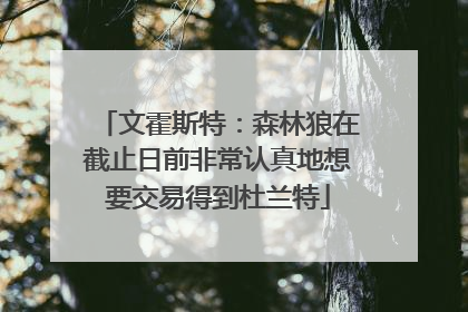 文霍斯特：森林狼在截止日前非常认真地想要交易得到杜兰特