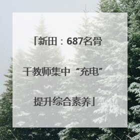 新田：687名骨干教师集中“充电” 提升综合素养