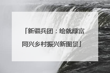 新疆兵团：绘就绿富同兴乡村振兴新图景