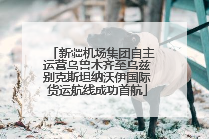 新疆机场集团自主运营乌鲁木齐至乌兹别克斯坦纳沃伊国际货运航线成功首航