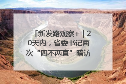 新发路观察+｜20天内，省委书记两次“四不两直”暗访，有何深意？