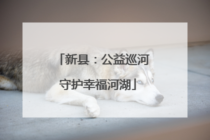 新县：公益巡河守护幸福河湖