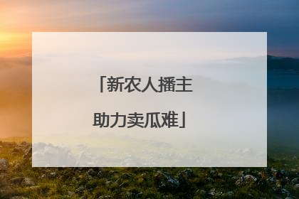 新农人播主 助力卖瓜难
