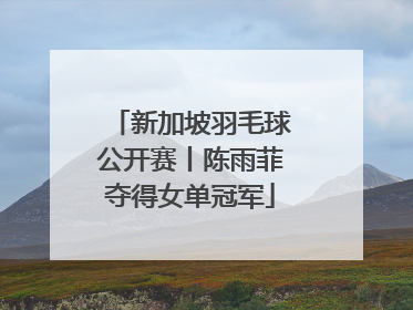 新加坡羽毛球公开赛丨陈雨菲夺得女单冠军
