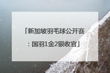 新加坡羽毛球公开赛：国羽1金2银收官
