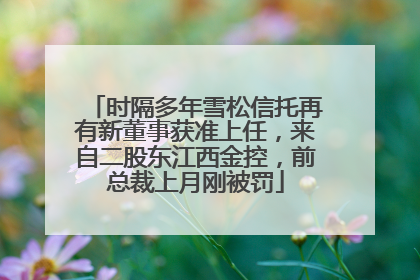 时隔多年雪松信托再有新董事获准上任，来自二股东江西金控，前总裁上月刚被罚