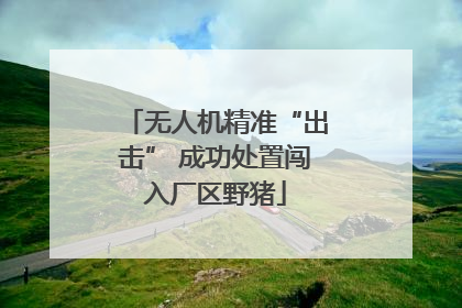 无人机精准“出击” 成功处置闯入厂区野猪