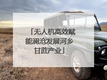 无人机高效赋能澜沧发展河乡甘蔗产业