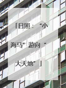 日照：“小海马”游向“大天地”