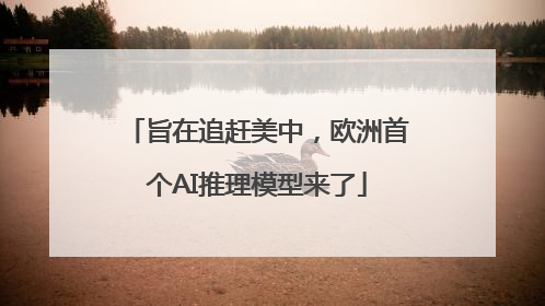 旨在追赶美中，欧洲首个AI推理模型来了