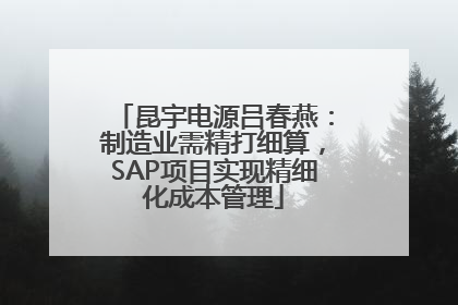 昆宇电源吕春燕：制造业需精打细算，SAP项目实现精细化成本管理