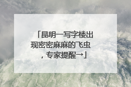 昆明一写字楼出现密密麻麻的飞虫，专家提醒→