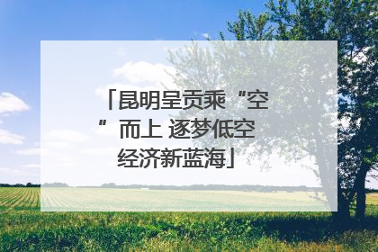 昆明呈贡乘“空”而上 逐梦低空经济新蓝海