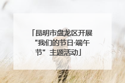 昆明市盘龙区开展“我们的节日·端午节”主题活动