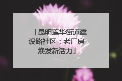 昆明莲华街道建设路社区：老厂房焕发新活力