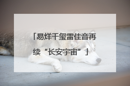 易烊千玺雷佳音再续“长安宇宙”