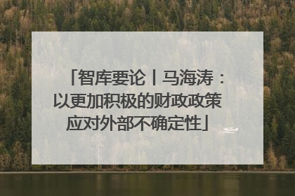 智库要论丨马海涛：以更加积极的财政政策应对外部不确定性