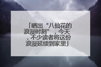 晒出“八仙花的浪漫时刻”，今天，不少读者将这份浪漫延续到家里