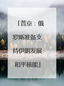 普京：俄罗斯准备支持伊朗发展和平核能