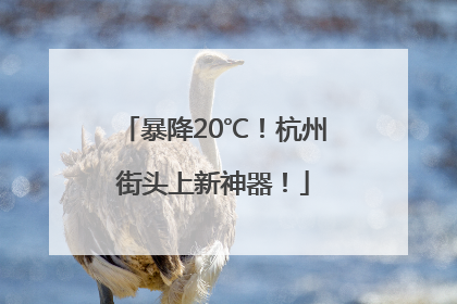 暴降20℃！杭州街头上新神器！