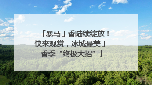 暴马丁香陆续绽放！快来观赏，冰城最美丁香季“终极大招”