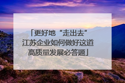 更好地“走出去” 江苏企业如何做好这道高质量发展必答题