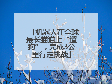 机器人在全球最长猫道上“遛狗”，完成3公里行走挑战