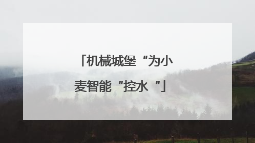 机械城堡“为小麦智能“控水“