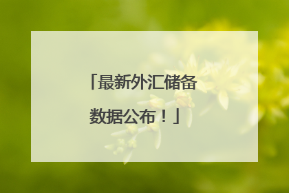 最新外汇储备数据公布！