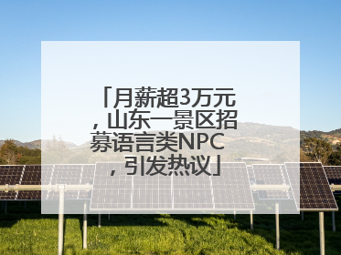 月薪超3万元，山东一景区招募语言类NPC，引发热议