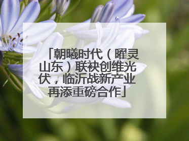 朝曦时代（曜灵山东）联袂创维光伏，临沂战新产业再添重磅合作