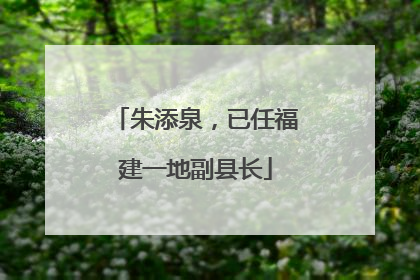 朱添泉，已任福建一地副县长