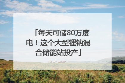 每天可储80万度电！这个大型锂钠混合储能站投产
