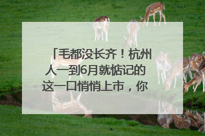 毛都没长齐！杭州人一到6月就惦记的这一口悄悄上市，你打算尝鲜吗？