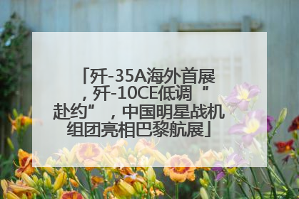 歼-35A海外首展，歼-10CE低调“赴约”，中国明星战机组团亮相巴黎航展