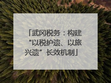 武冈税务：构建“以税护遗、以旅兴遗”长效机制
