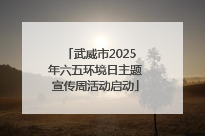 武威市2025年六五环境日主题宣传周活动启动